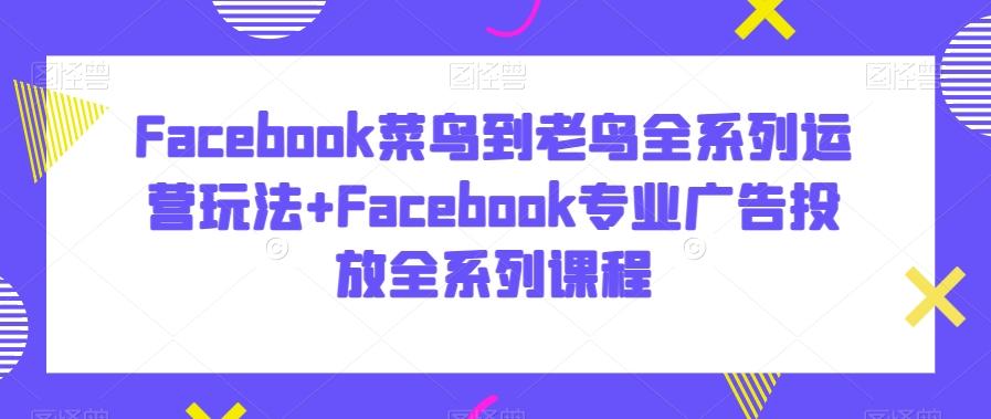 Facebook菜鸟到老鸟全系列运营玩法+Facebook专业广告投放全系列课程网创项目-副业赚钱-互联网创业-资源整合冒泡网