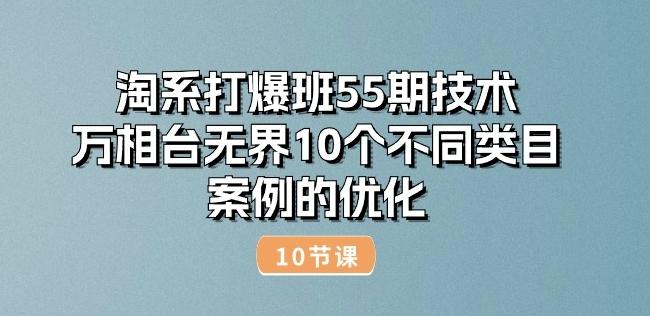 淘系打爆班55期技术：万相台无界10个不同类目案例的优化(10节)网创项目-副业赚钱-互联网创业-资源整合冒泡网