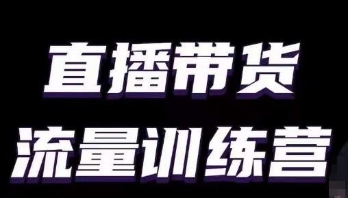 直播带货流量训练营，小白主播必学直播课网创项目-副业赚钱-互联网创业-资源整合冒泡网