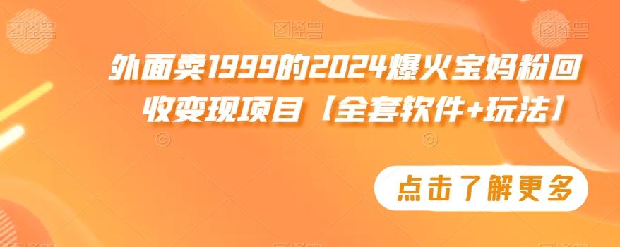 外面卖1999的2024爆火宝妈粉回收变现项目【全套软件+玩法】【揭秘】网创项目-副业赚钱-互联网创业-资源整合冒泡网