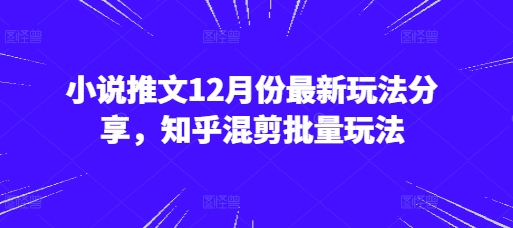 小说推文12月份最新玩法分享，知乎混剪批量玩法网创项目-副业赚钱-互联网创业-资源整合冒泡网