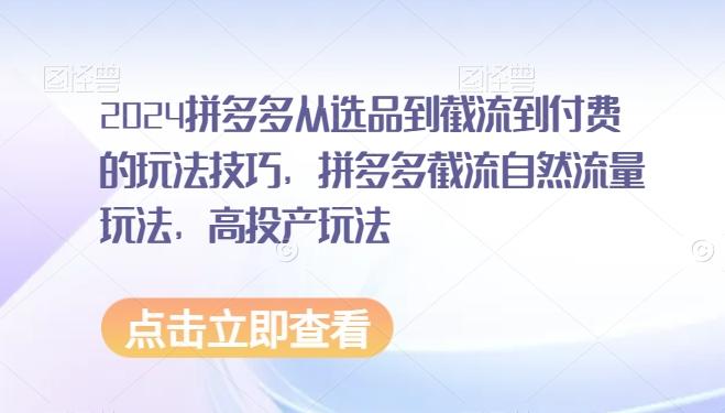 2024拼多多从选品到截流到付费的玩法技巧，拼多多截流自然流量玩法，高投产玩法网创项目-副业赚钱-互联网创业-资源整合冒泡网