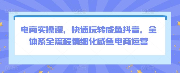 电商实操课，快速玩转咸鱼抖音，全体系全流程精细化咸鱼电商运营网创项目-副业赚钱-互联网创业-资源整合冒泡网