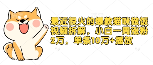 最近很火的爆款猫咪做饭视频拆解，小白一周涨粉2万，单条10万+播放(附保姆级教程)网创项目-副业赚钱-互联网创业-资源整合冒泡网