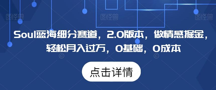 Soul蓝海细分赛道，2.0版本，做情感掘金，轻松月入过万，0基础，0成本网创项目-副业赚钱-互联网创业-资源整合冒泡网