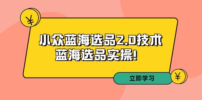 拼多多培训第33期：小众蓝海选品2.0技术-蓝海选品实操！网创项目-副业赚钱-互联网创业-资源整合冒泡网