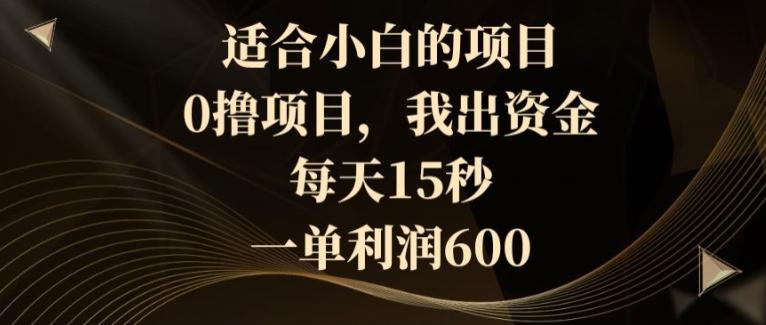 适合小白的项目，0撸项目，我出资金，每天15秒，一单利润600网创项目-副业赚钱-互联网创业-资源整合冒泡网