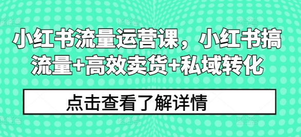 小红书流量运营课，小红书搞流量+高效卖货+私域转化网创项目-副业赚钱-互联网创业-资源整合冒泡网