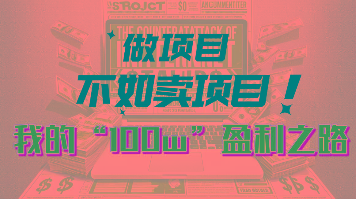 为什么做项目不如卖项目？我的100W+盈利之路网创项目-副业赚钱-互联网创业-资源整合冒泡网