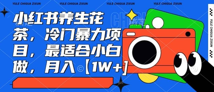 小红书养生花茶，冷门暴力项目，最适合小白做，月入【1W+】网创项目-副业赚钱-互联网创业-资源整合冒泡网