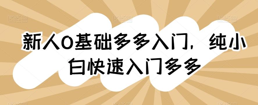 新人0基础多多入门，​纯小白快速入门多多网创项目-副业赚钱-互联网创业-资源整合冒泡网