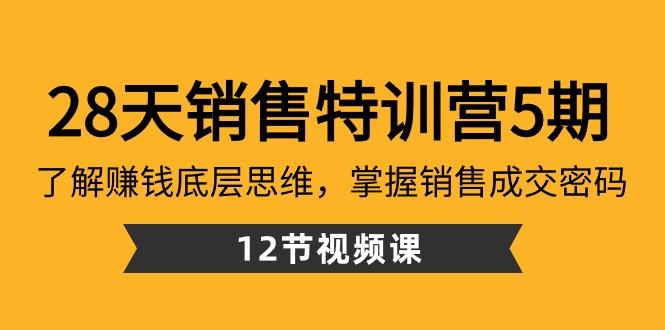 28天销售特训营5期：了解赚钱底层思维，掌握销售成交密码（12节课）网创项目-副业赚钱-互联网创业-资源整合冒泡网