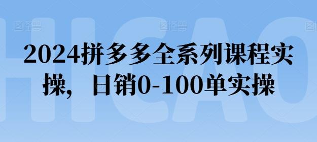 2024拼多多全系列课程实操，日销0-100单实操【必看】网创项目-副业赚钱-互联网创业-资源整合冒泡网