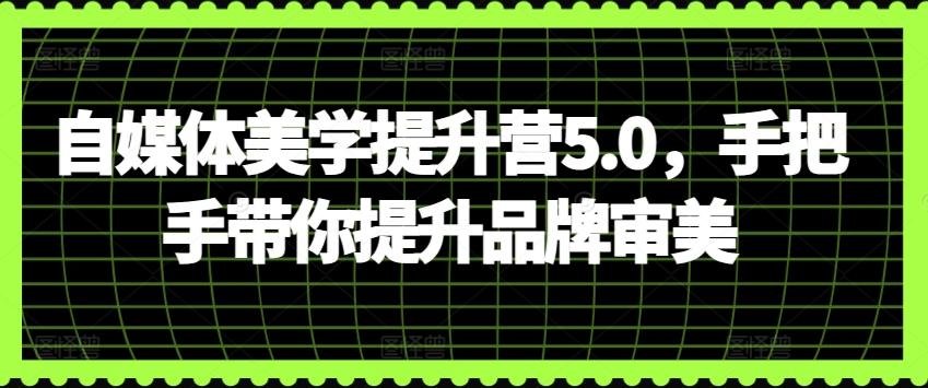 自媒体美学提升营5.0，手把手带你提升品牌审美网创项目-副业赚钱-互联网创业-资源整合冒泡网