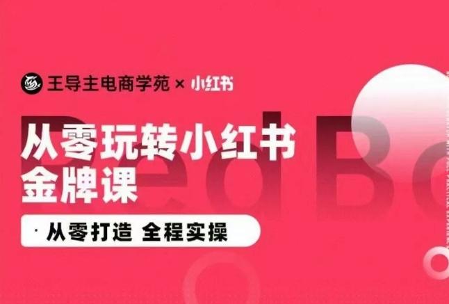 王导主·小红书电商运营实操课，​从零打造  全程实操网创项目-副业赚钱-互联网创业-资源整合冒泡网