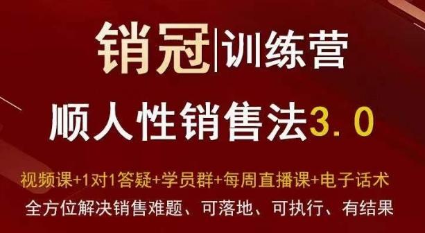 爆款！销冠训练营3.0之顺人性销售法，全方位解决销售难题、可落地、可执行、有结果网创项目-副业赚钱-互联网创业-资源整合冒泡网