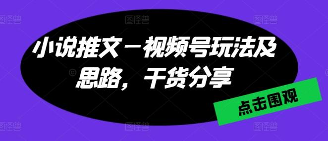 小说推文—视频号玩法及思路，干货分享网创项目-副业赚钱-互联网创业-资源整合冒泡网