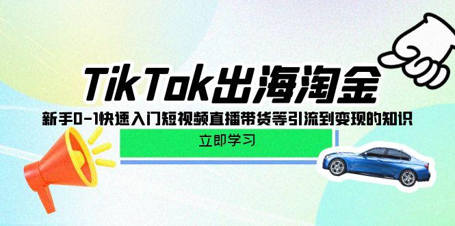 (10035期)TikTok-出海淘金，新手0-1快速入门短视频直播带货等引流到变现的知识网创项目-副业赚钱-互联网创业-资源整合冒泡网