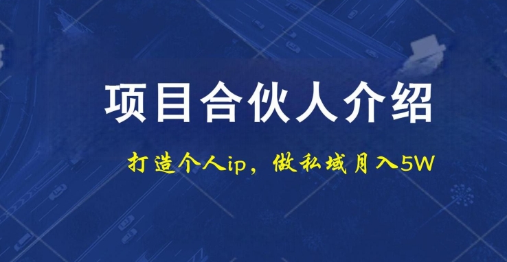 项目合伙人项目，打造个人IP，做私域月入5W，小白勿扰网创项目-副业赚钱-互联网创业-资源整合冒泡网