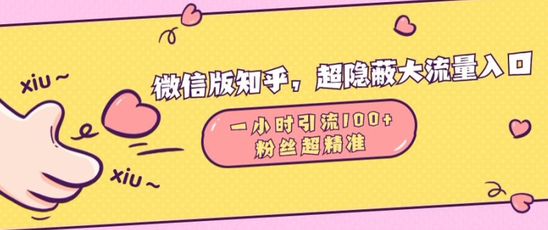 微信版知乎，超隐蔽流量入口1小时引流100人，粉丝质量超高【揭秘】网创项目-副业赚钱-互联网创业-资源整合冒泡网