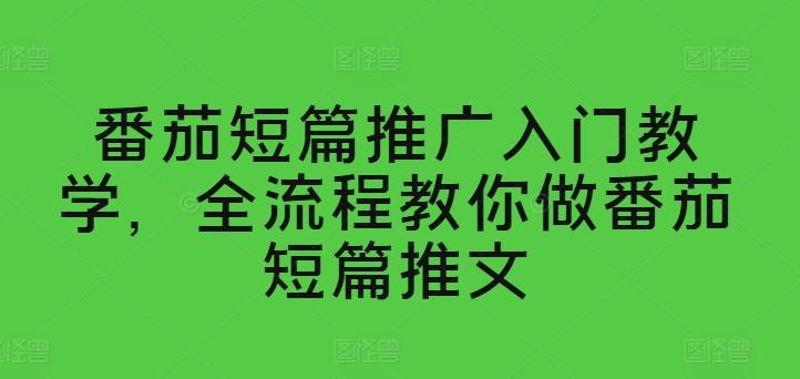 番茄短篇推广入门教学，全流程教你做番茄短篇推文网创项目-副业赚钱-互联网创业-资源整合冒泡网