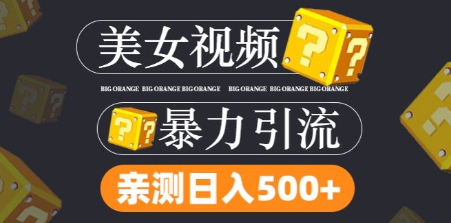 搬运tk美女视频全网分发，日引s粉300+，轻松变现，不限流量不封号【揭秘】网创项目-副业赚钱-互联网创业-资源整合冒泡网