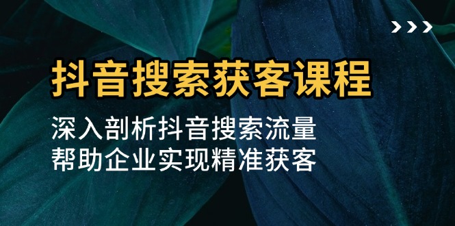 抖音搜索获客课程：深入剖析抖音搜索流量，帮助企业实现精准获客网创项目-副业赚钱-互联网创业-资源整合冒泡网