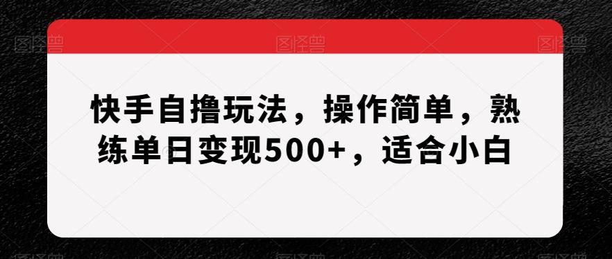 快手自撸玩法，操作简单，熟练单日变现500+，适合小白【揭秘】网创项目-副业赚钱-互联网创业-资源整合冒泡网