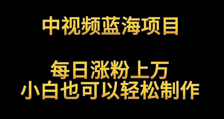 中视频蓝海项目，解读英雄人物生平，每日涨粉上万，小白也可以轻松制作，月入过万不是梦【揭秘】网创项目-副业赚钱-互联网创业-资源整合冒泡网