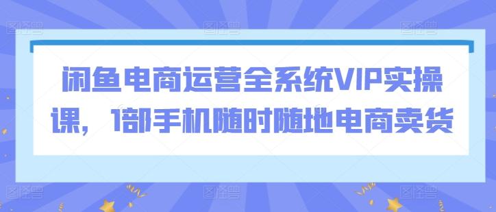 闲鱼电商运营全系统VIP实操课，1部手机随时随地电商卖货网创项目-副业赚钱-互联网创业-资源整合冒泡网