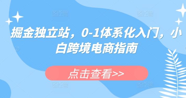 掘金独立站，0-1体系化入门，小白跨境电商指南网创项目-副业赚钱-互联网创业-资源整合冒泡网