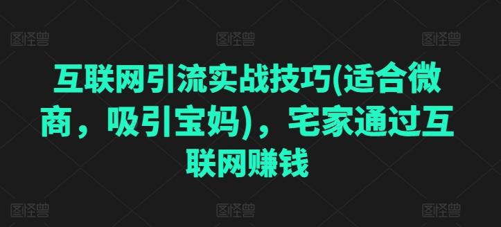 互联网引流实战技巧(适合微商，吸引宝妈)，宅家通过互联网赚钱网创项目-副业赚钱-互联网创业-资源整合冒泡网