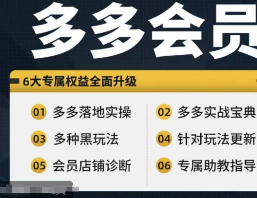 拼多多会员，拼多多实战宝典+实战落地实操，从新手到高阶内容全面覆盖网创项目-副业赚钱-互联网创业-资源整合冒泡网