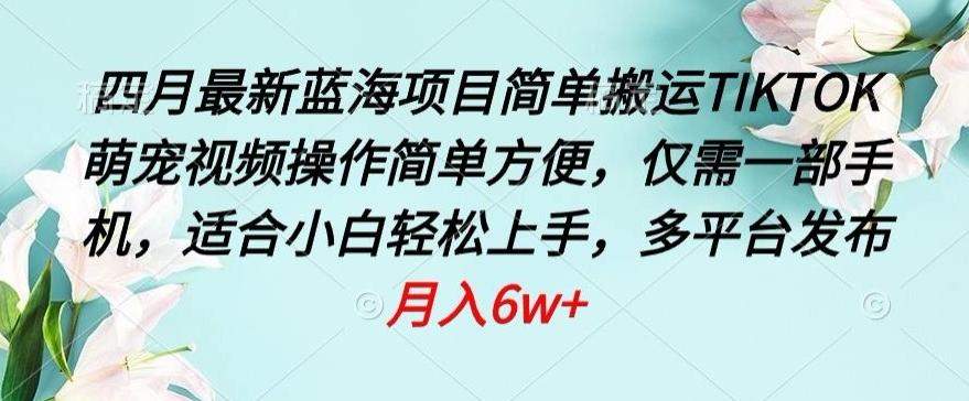 四月最新蓝海项目，简单搬运TIKTOK萌宠视频，操作简单方便，仅需一部手机【揭秘】网创项目-副业赚钱-互联网创业-资源整合冒泡网