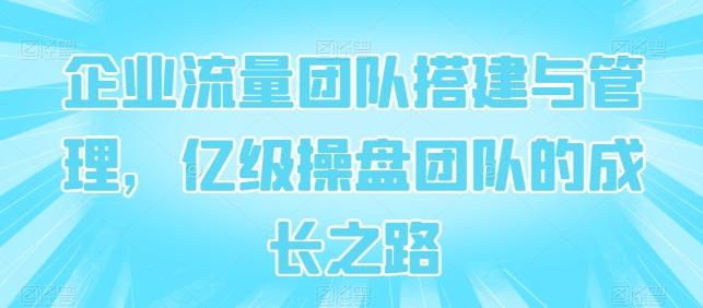 企业流量团队搭建与管理，亿级操盘团队的成长之路网创项目-副业赚钱-互联网创业-资源整合冒泡网