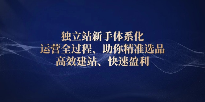 独立站新手体系化 运营全过程，助你精准选品、高效建站、快速盈利网创项目-副业赚钱-互联网创业-资源整合冒泡网