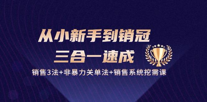 从小新手到销冠 三合一速成：销售3法+非暴力关单法+销售系统挖需课 (27节网创项目-副业赚钱-互联网创业-资源整合冒泡网