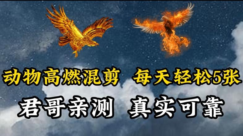 动物超燃混剪，每天轻松5张，剪辑简单大家爱看【揭秘】网创项目-副业赚钱-互联网创业-资源整合冒泡网