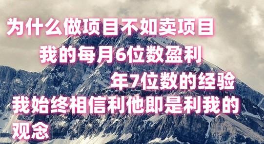 做项目不如卖项目，每月6位数盈利，年7位数经验网创项目-副业赚钱-互联网创业-资源整合冒泡网