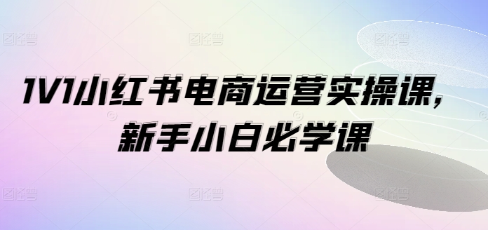 1V1小红书电商运营实操课，新手小白必学课网创项目-副业赚钱-互联网创业-资源整合冒泡网