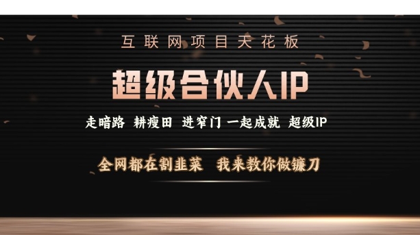 互联网项目天花板，超级合伙人IP，全网都在割韭菜，我来教你做镰刀【仅揭秘】网创项目-副业赚钱-互联网创业-资源整合冒泡网