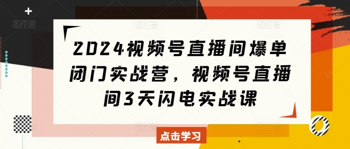 2024视频号直播间爆单闭门实战营，视频号直播间3天闪电实战课网创项目-副业赚钱-互联网创业-资源整合冒泡网