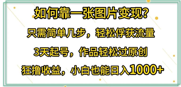 如何靠一张图片变现?只需简单几步，轻松俘获流量，3天起号，作品轻松过原创【揭秘】网创项目-副业赚钱-互联网创业-资源整合冒泡网