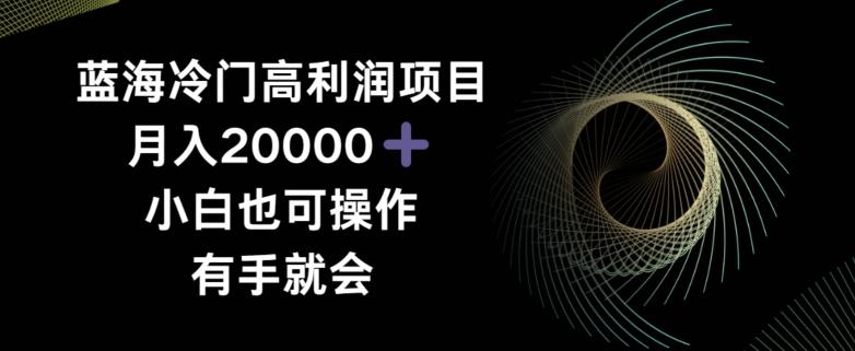 蓝海冷门高利润项目月入2000，小白也可操作有手就会网创项目-副业赚钱-互联网创业-资源整合冒泡网